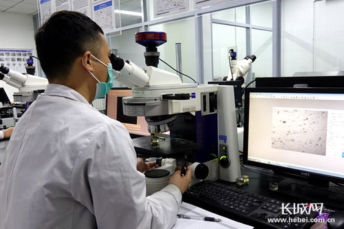 四通新材 防控生產(chǎn)雙驅(qū)動(dòng)，國(guó)內(nèi)外訂單全面恢復(fù)，新材料研發(fā)蓄力未來(lái)